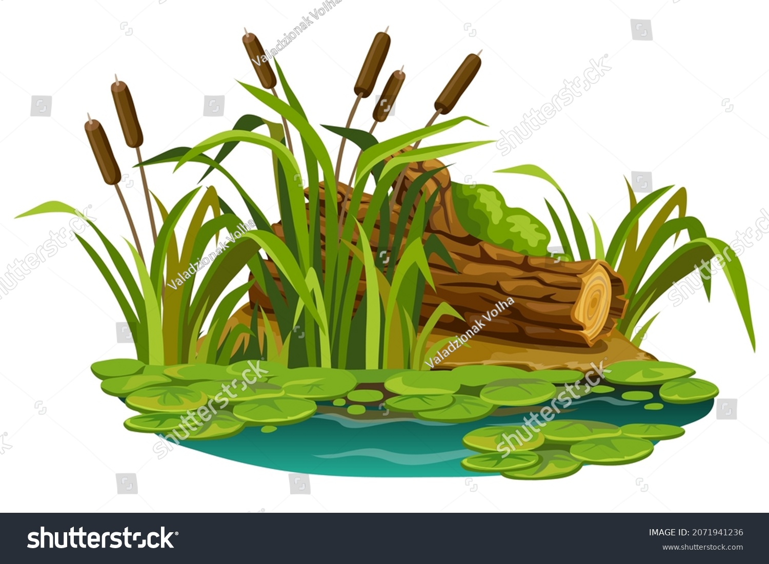 Moss on the stump in marsh. Cartoon log in swamp jungle. Broken tree oak, cattails, salvinia, water lily. Isolated vector element on white background. #2071941236