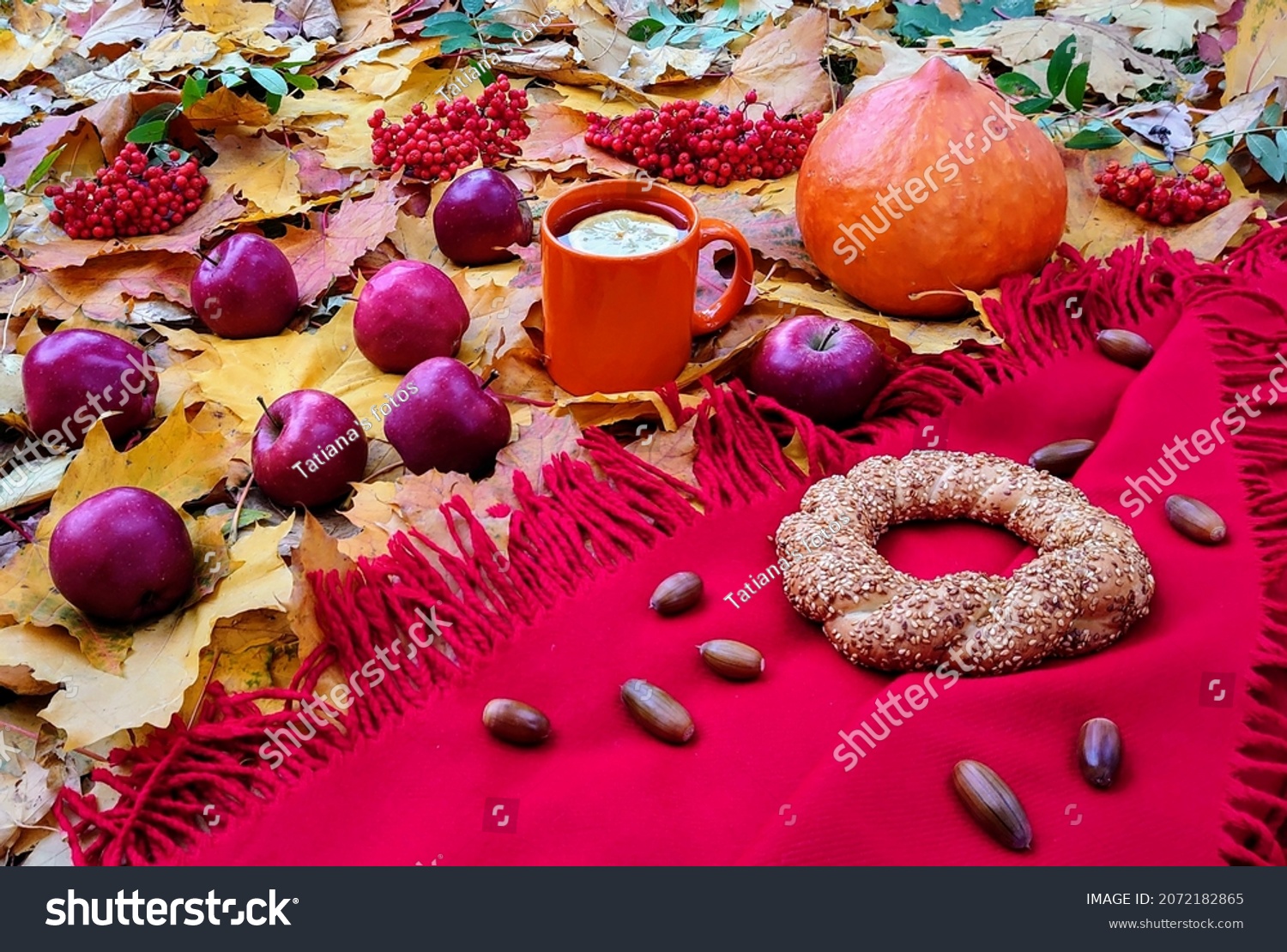 Autumn day. Picnic in the garden. Red plaid, apple harvest, pumpkin, acorns, semite, the mug of lemon tea, rowan berries #2072182865