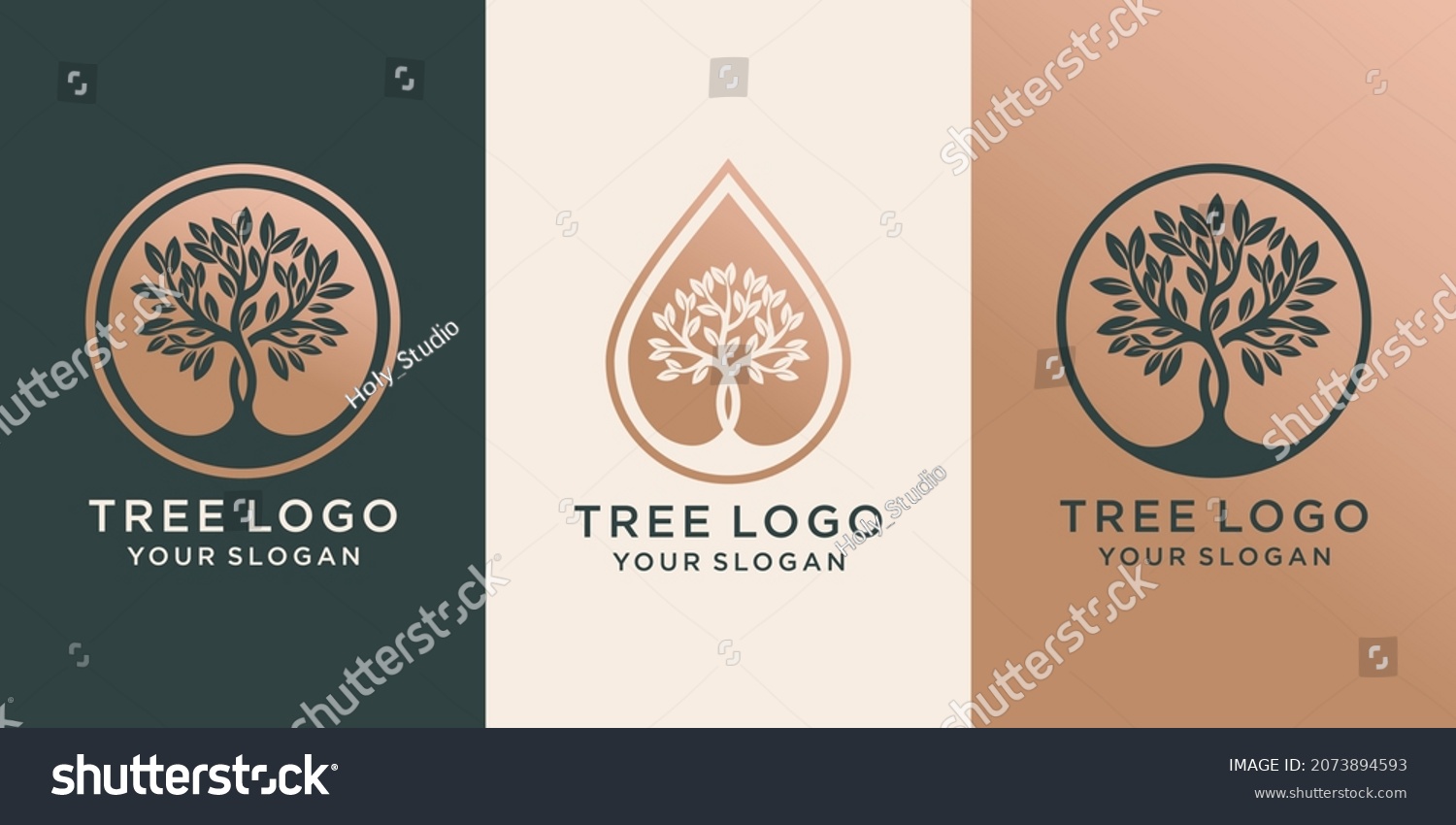 set of logo tree and Drops or water combined with tree. logo design Premium Vector #2073894593