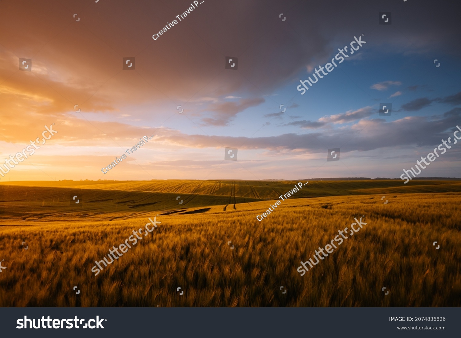 Splendid scene of agricultural land in the sunlight in the evening. Location place of Ukrainian agrarian region, Europe. Scenic image of dramatic light. Perfect natural wallpaper. Beauty of earth. #2074836826