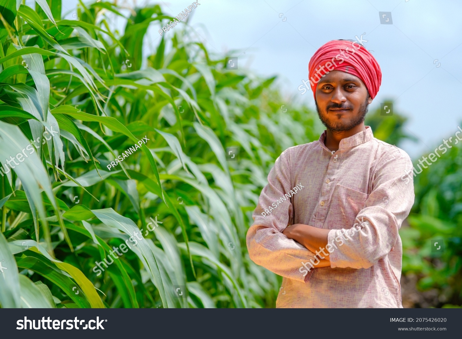 young indian farmer at corn field. #2075426020