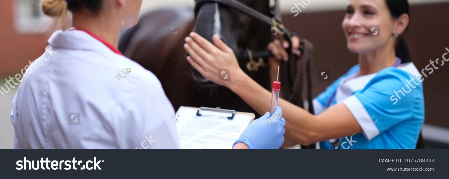 Female veterinarian holding test tube in front of thoroughbred horse #2075788333