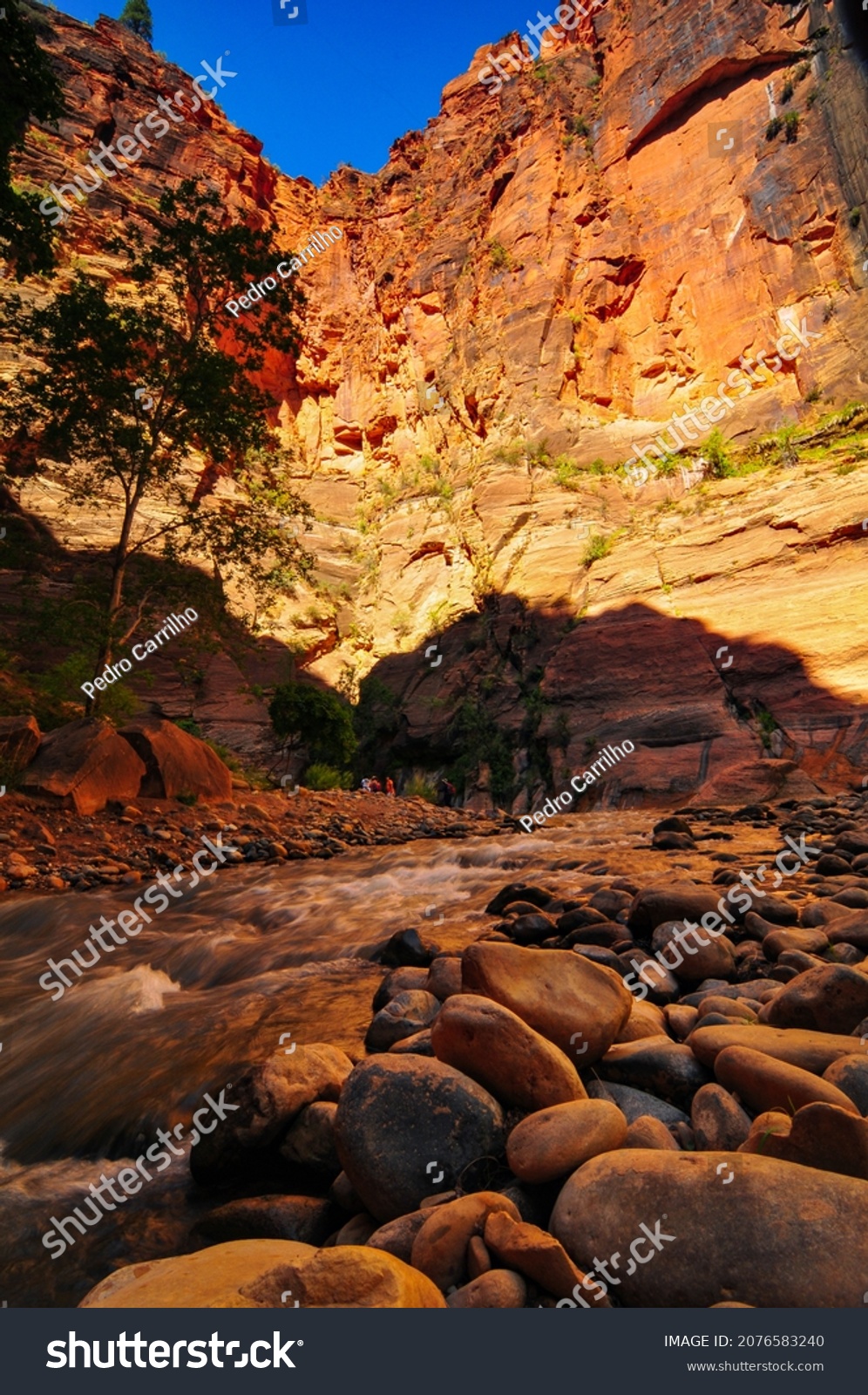 The popular hiking trip through the Narrows of the Virgin River, Zion National Park, Utah, Southwest USA #2076583240