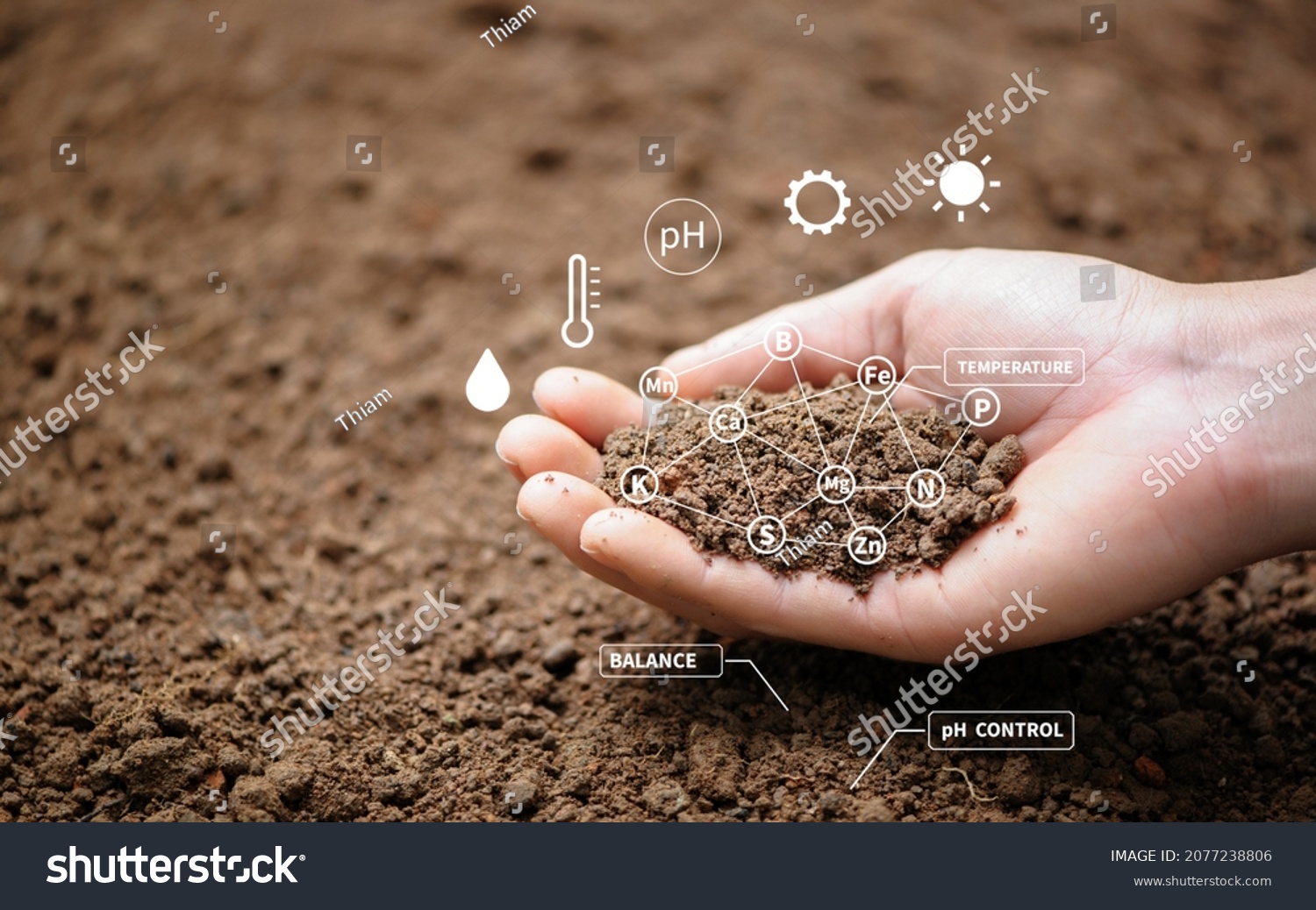Top view of soil in hands for check the quality of the soil for control soil quality before seed plant. Future agriculture concept. Smart farming, using modern technologies in agriculture
 #2077238806