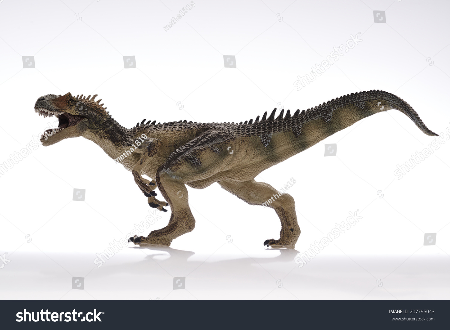 Dinosaur Close Up - Dinosaurs in white Background #207795043