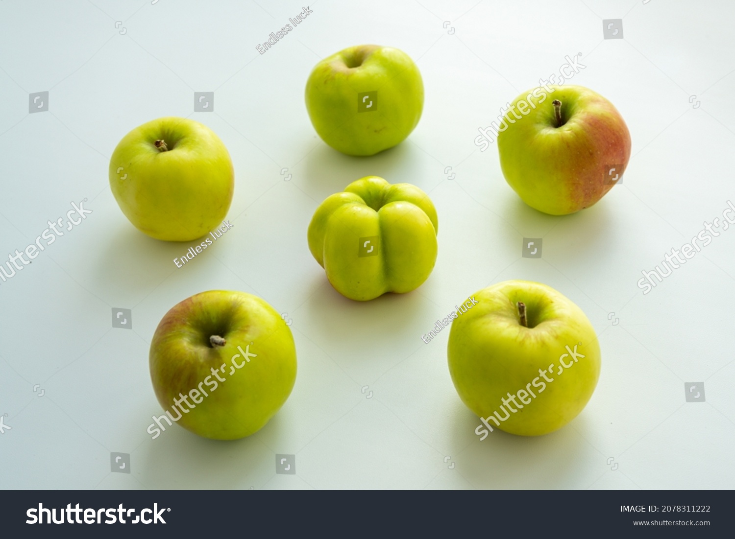 The interesting, unusual, strange apple. An ugly apple surrounded by ordinary ones. The photo symbolizes individuality , leadership , personal characteristics , self-acceptance . #2078311222