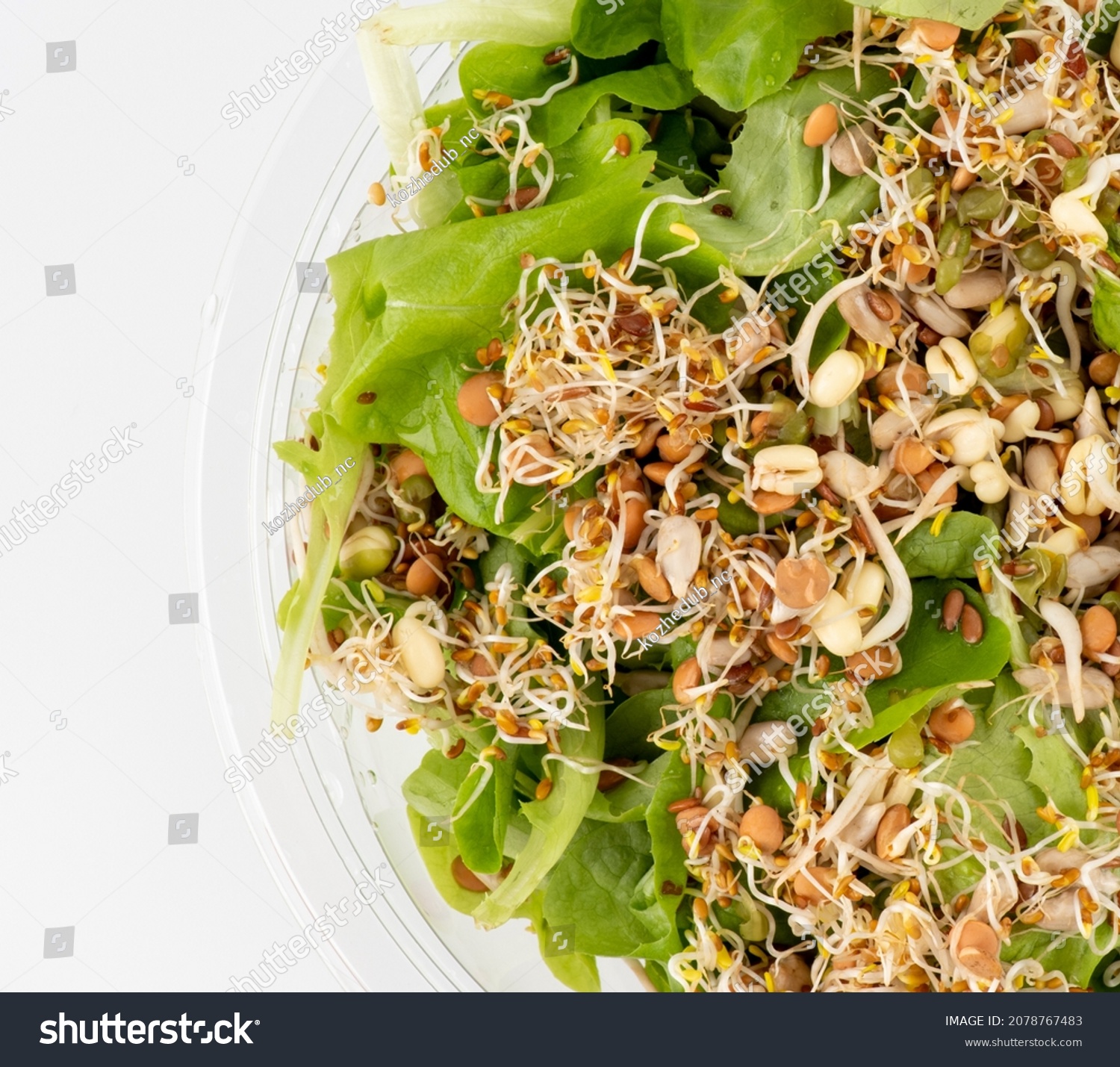 Lettuce and microgreens, alfalfa and clover sprouts, wheat bean and lentil sprouts. Organic grains good for salads and breads. Raw, vegan, vegetarian healthy food concept. Healthy diet and vegetarian  #2078767483