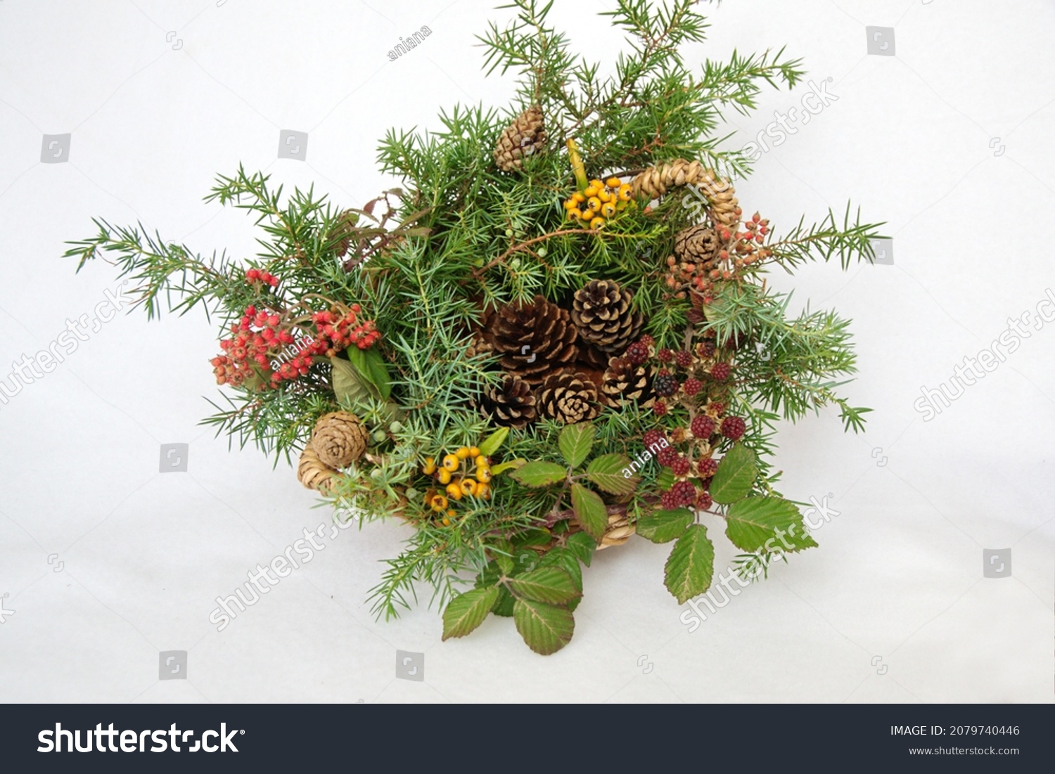 Christmas natural adornment with wild berries, conifer cones, spruce branches on white background #2079740446