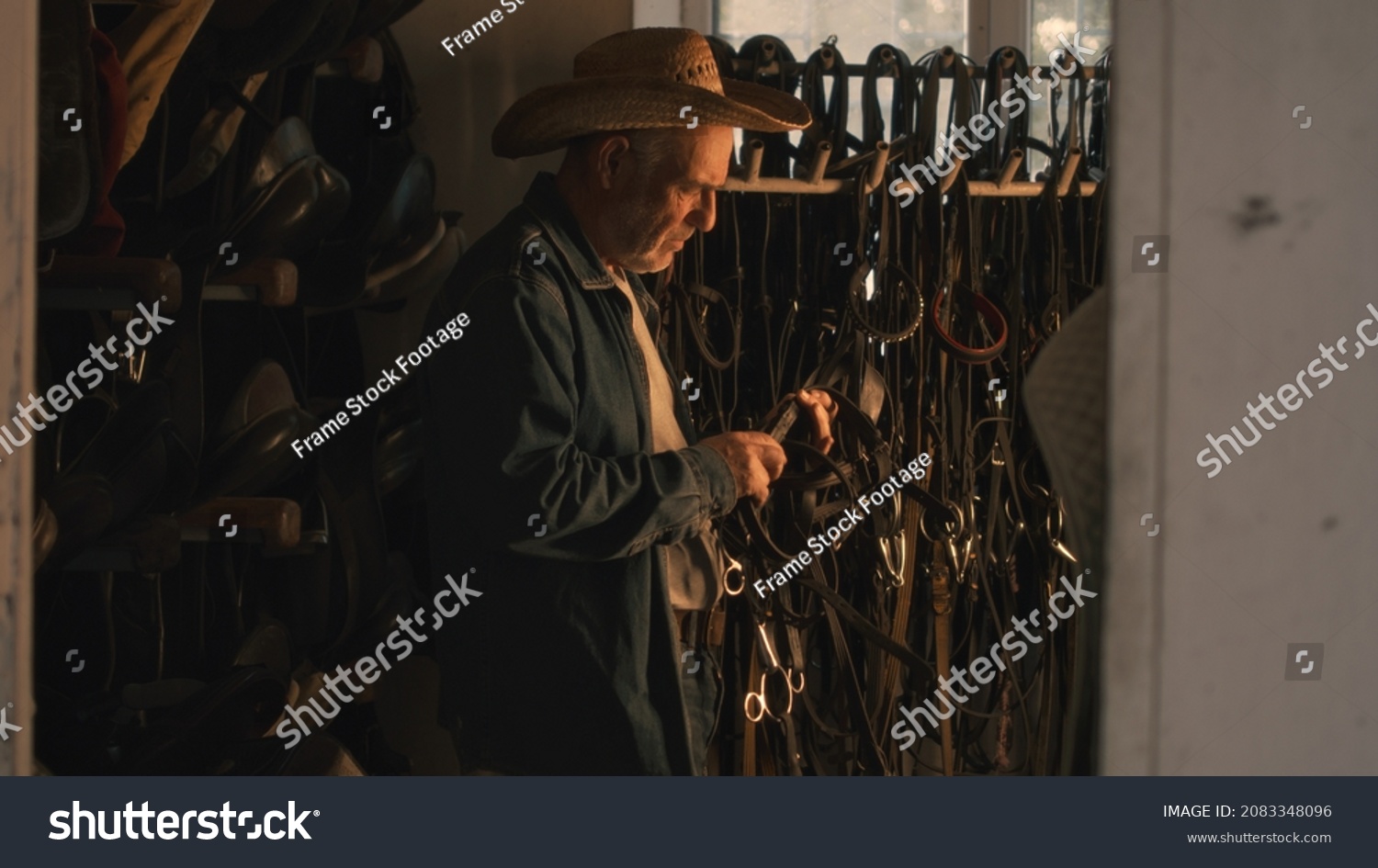 Senior man picking bridle in stable #2083348096