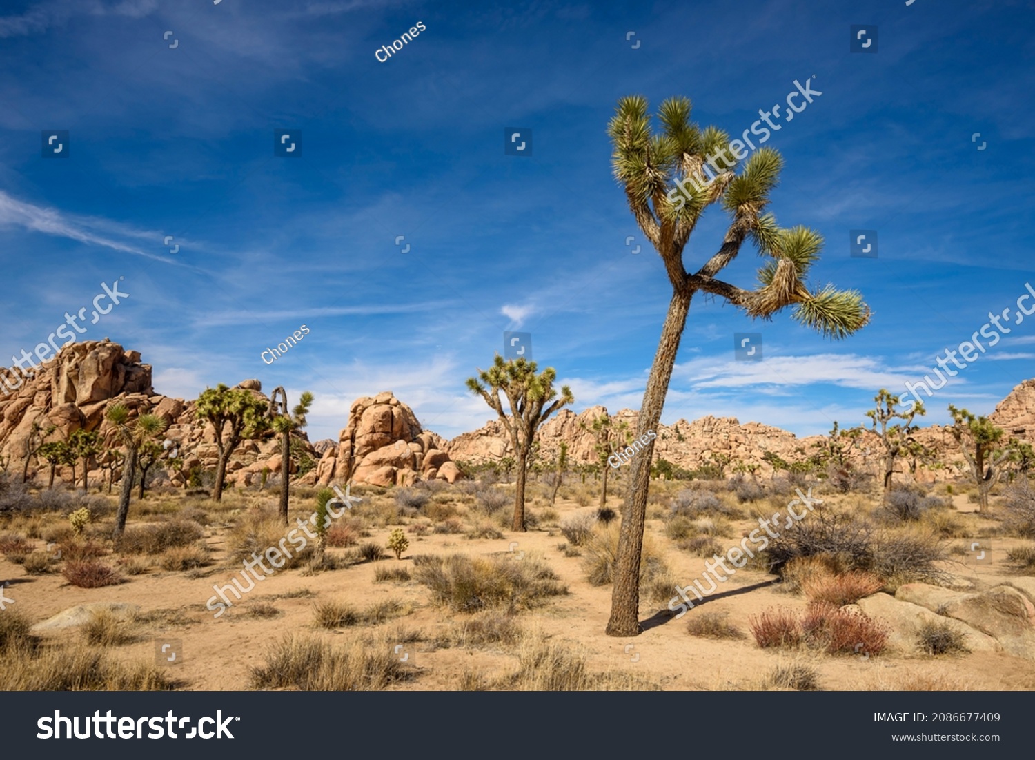 Joshua Tree National Park, Mojave Desert, California #2086677409