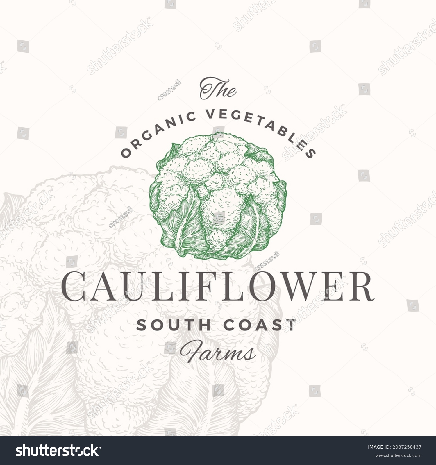 Cauliflower Badge or Logo Template. Hand Drawn Vegetable Sketch with Retro Typography. Premium Plant Based Vegan Food Emblem. Isolated #2087258437