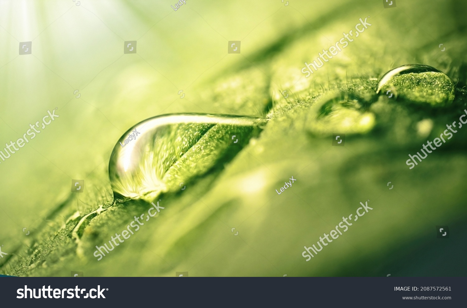 Very beautiful macro image of natural illuminated water droplets on surface of green leaf or stem of grass, symbol of fragility and purity nature. #2087572561
