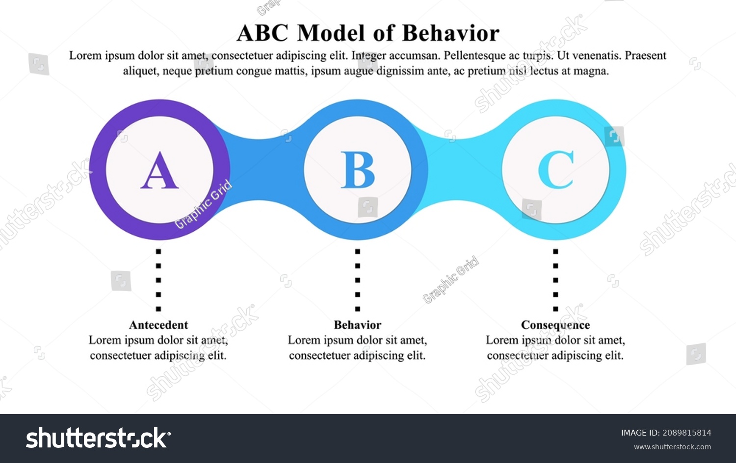 Infographic presentation template of ABC model - Royalty Free Stock ...