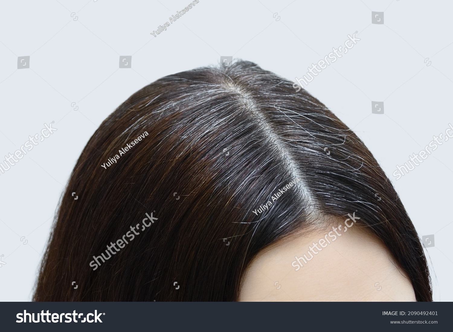 Gray hair on the crown of a Caucasian woman close-up. #2090492401