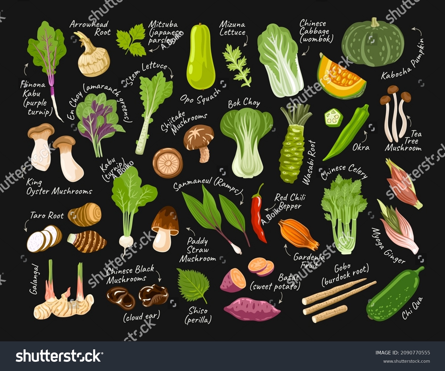 Set of asian exotic vegetables on black background with white chalk inscriptions. Korean, japanese, chinese ingredients and food. Vector hand drawn flat illustrations for restaurant menu, recipes. #2090770555