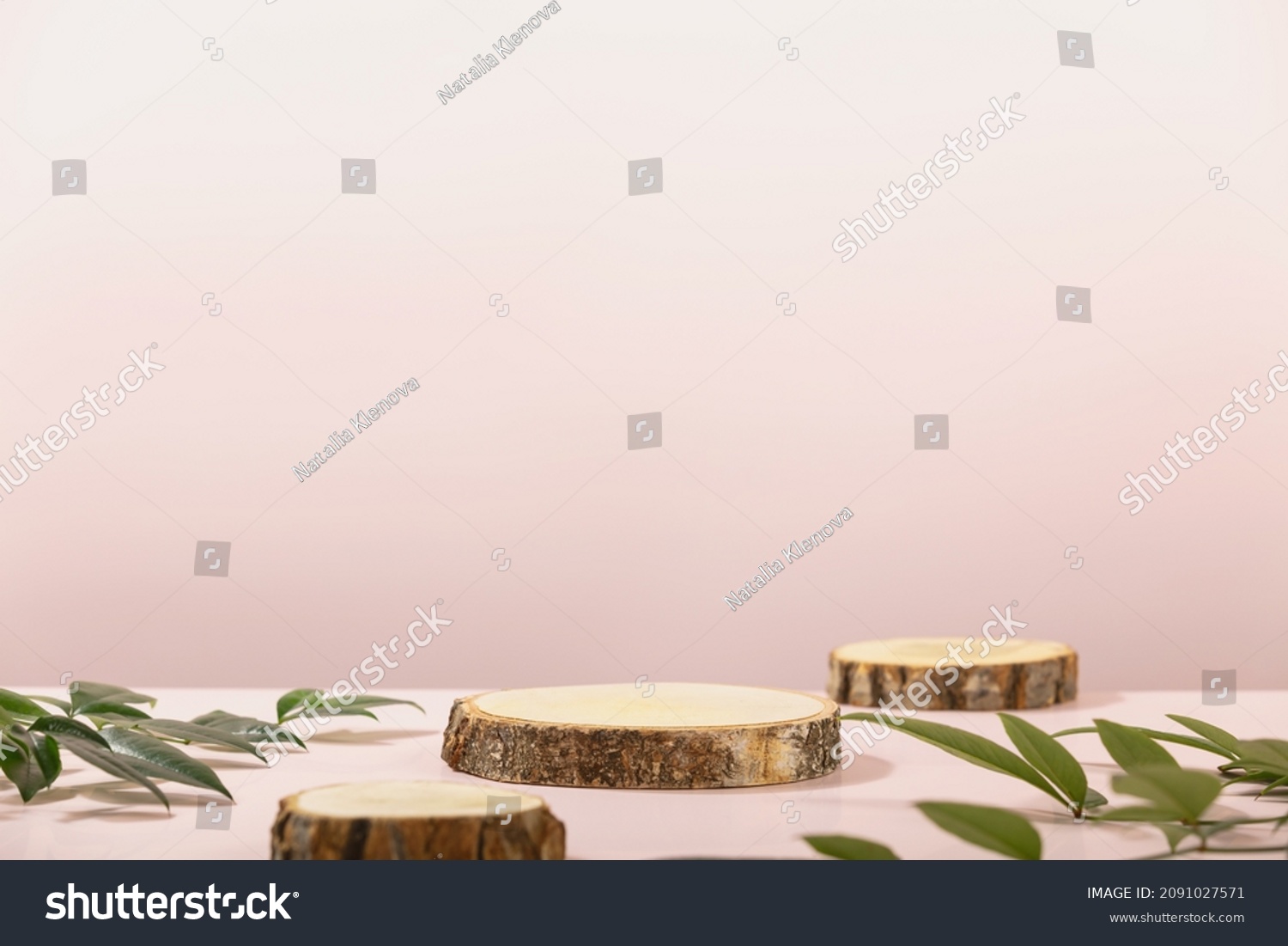Three cosmetic Wood slice podiums and green leaves. Minimal modern product display on pink background. Concept scene stage showcase for new product, promotion sale, banner, presentation, cosmetic #2091027571