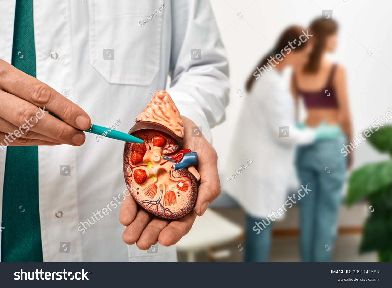 Urology and treatment of kidney disease. Doctor doing kidney exam for female patient with kidney disease, soft focus #2091141583