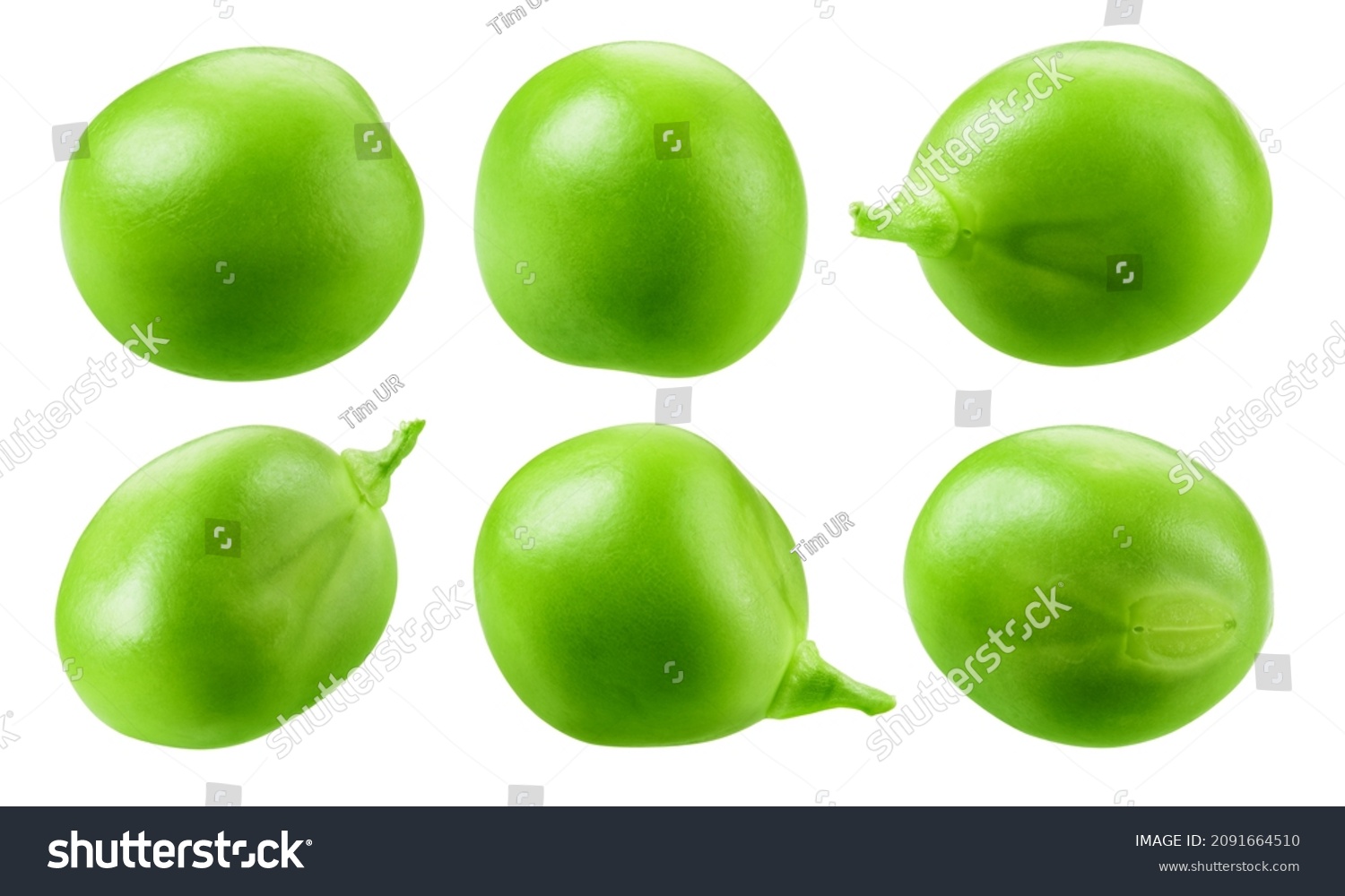 Green peas isolated. Set of fresh green peeled peas on white background. Collection. #2091664510