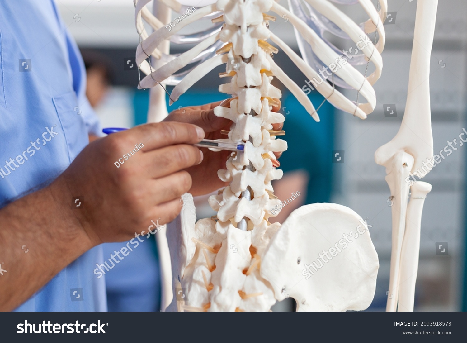Close up of nurse pointing at spine bones on human skeleton to explain diagnosis to senior patient. Assistant showing spinal cord to old man for physical recovery and chiropractic remedy #2093918578