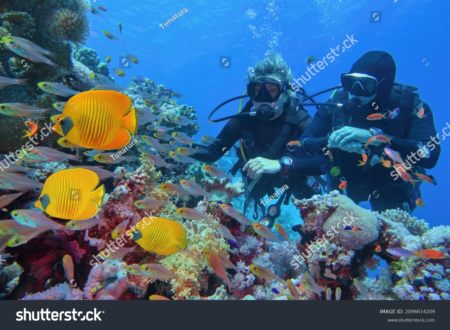 Scuba divers couple  near beautiful coral reef surrounded with shoal of coral fish and three yellow butterfly fish #2094614209