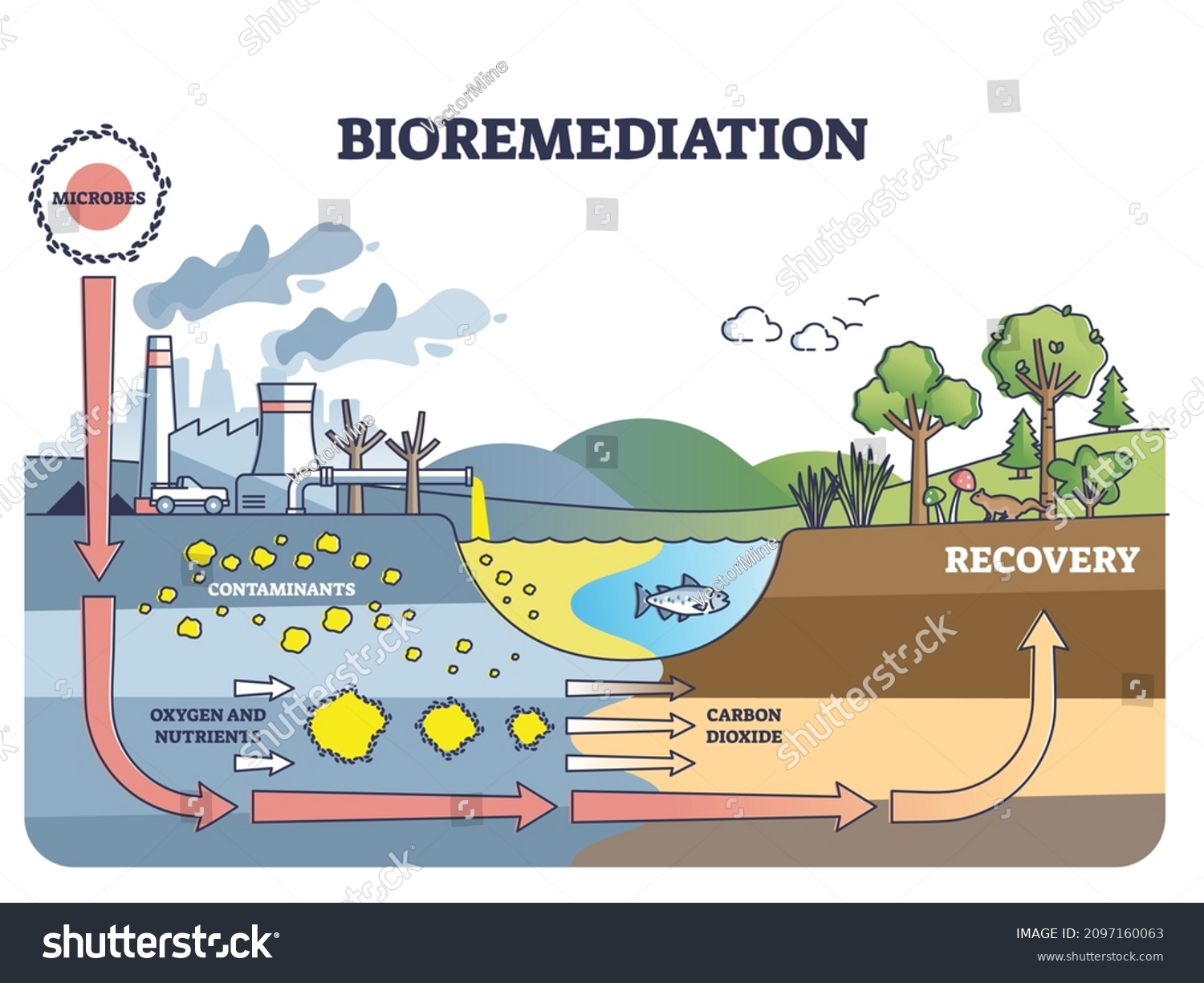 Bioremediation and contaminated soil or water - Royalty Free Stock ...