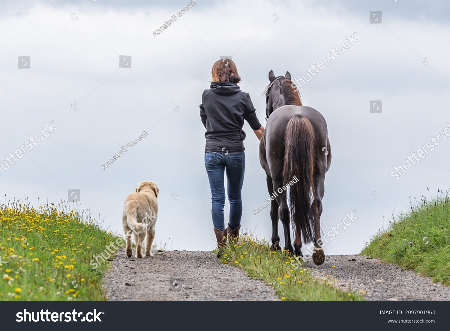 horse and dog team: Backside of a woman with her pony and dog #2097901963