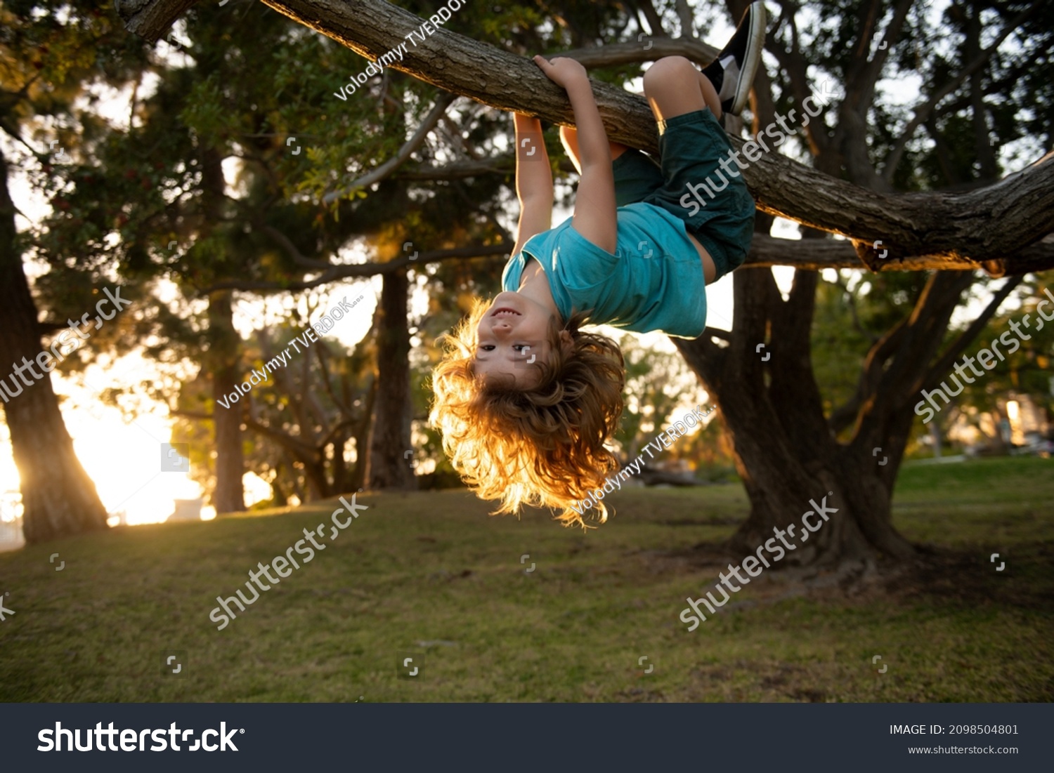Funny child climbing a tree in the garden. Active kid playing outdoors. Portrait of cute kid boy sitting on the branch tree on sunny day. Child climbing a tree. Childhood concept. #2098504801