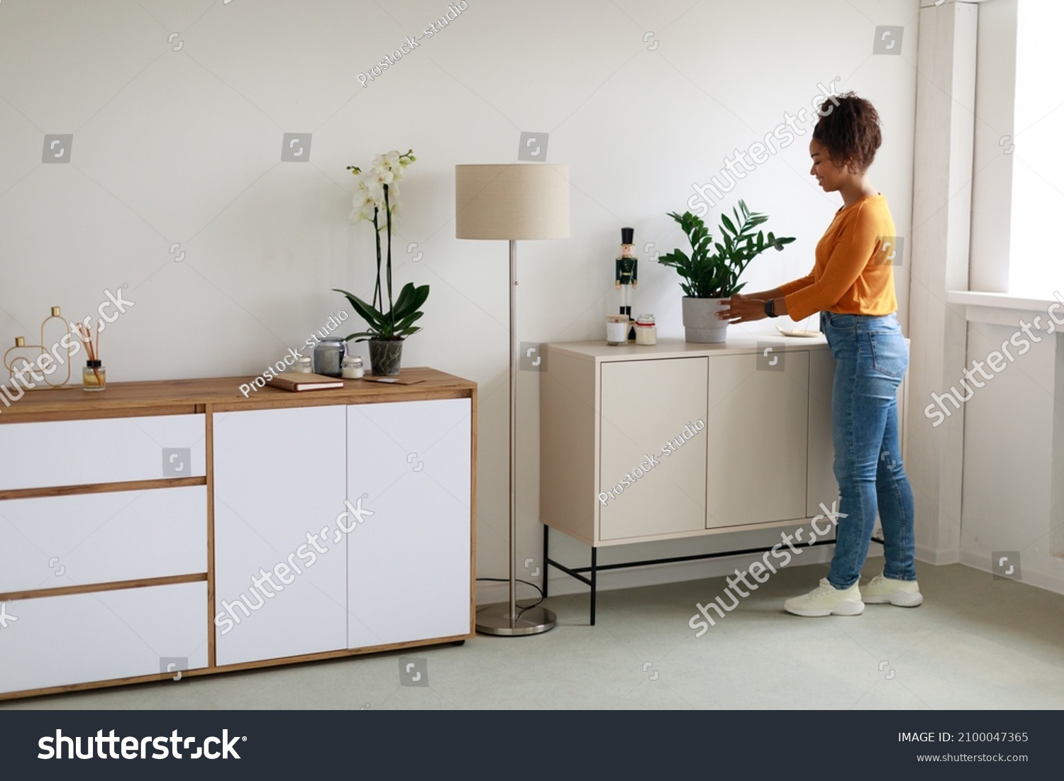 Domestic Decor Concept. Smiling young black woman decorating cozy renovated living room or bedroom with green plant flower. Casual lady creating atmosphere in stylish apartment, moving in new house #2100047365