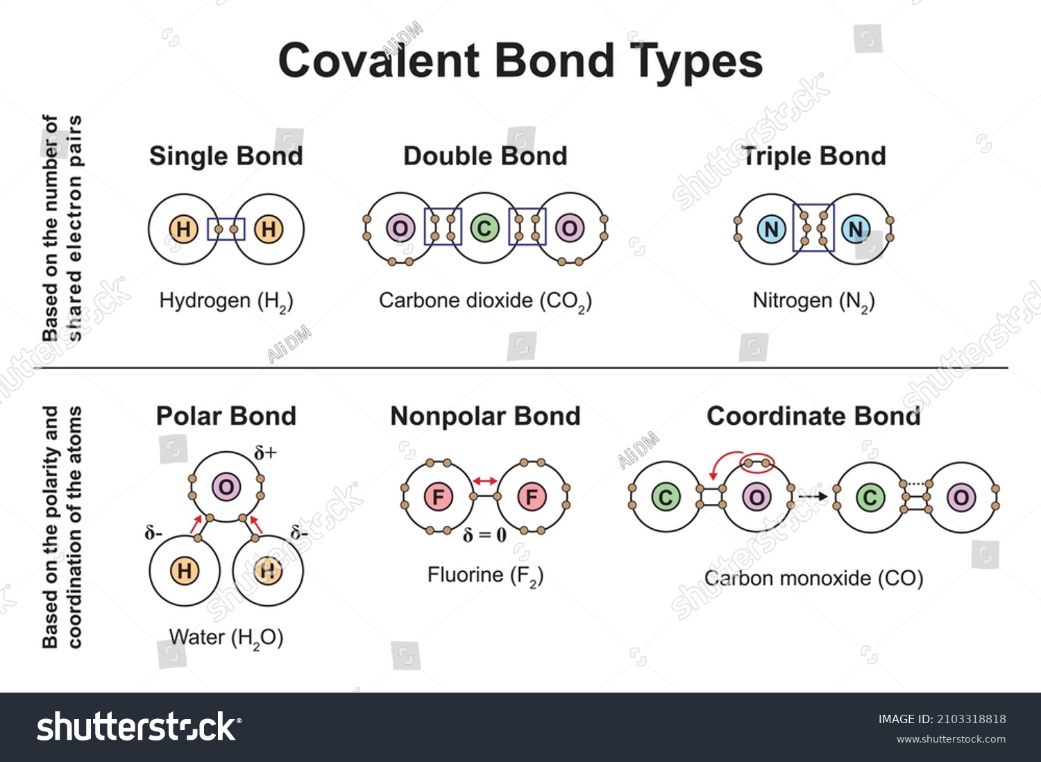 Scientific Designing Of Covalent Bond Types. - Royalty Free Stock ...