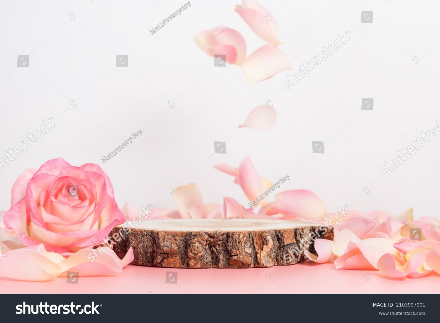 Empty wooden podium with rose and petals for display gifts, products or cosmetics #2103997001