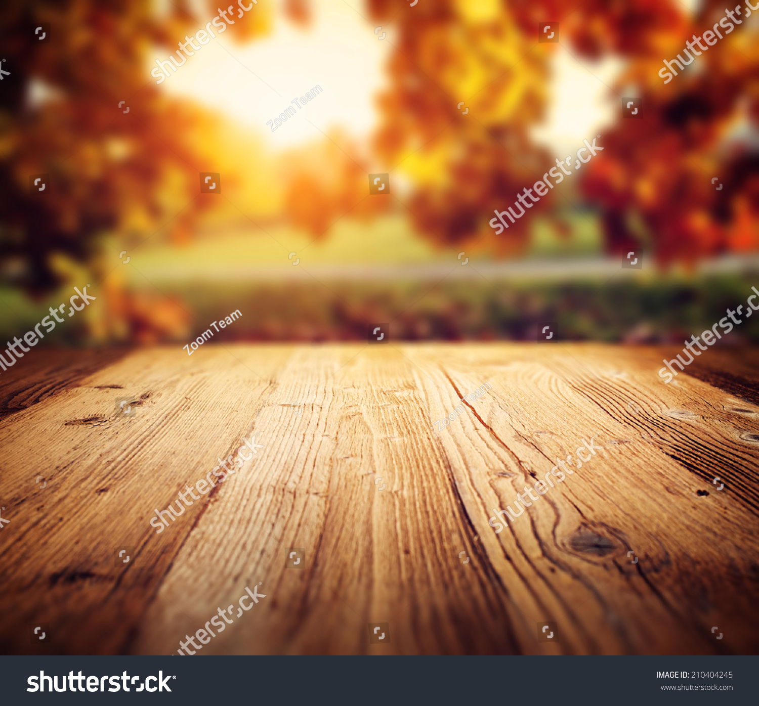 autumn background  #210404245