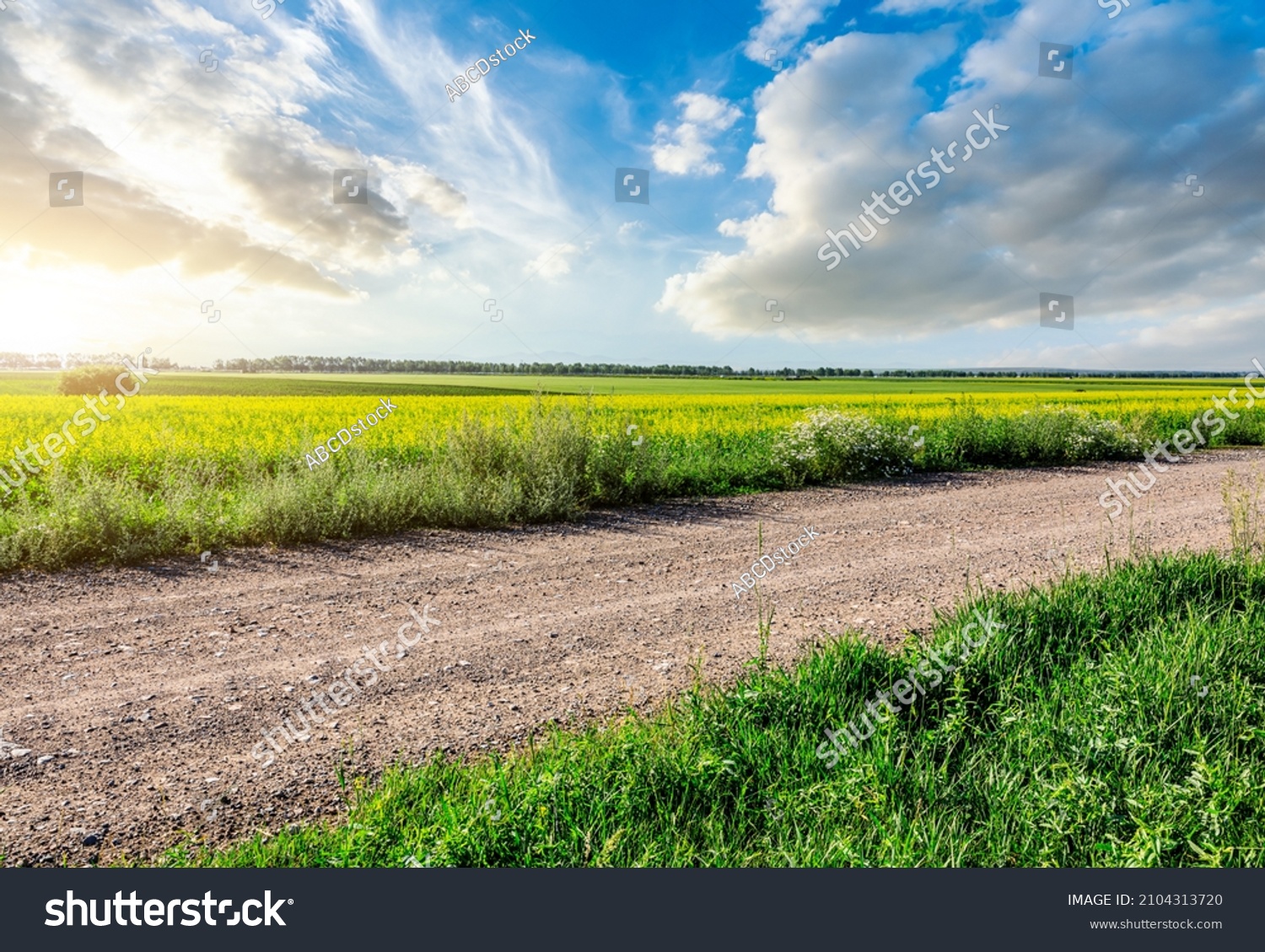 Country road and green farmland landscape in spring season #2104313720