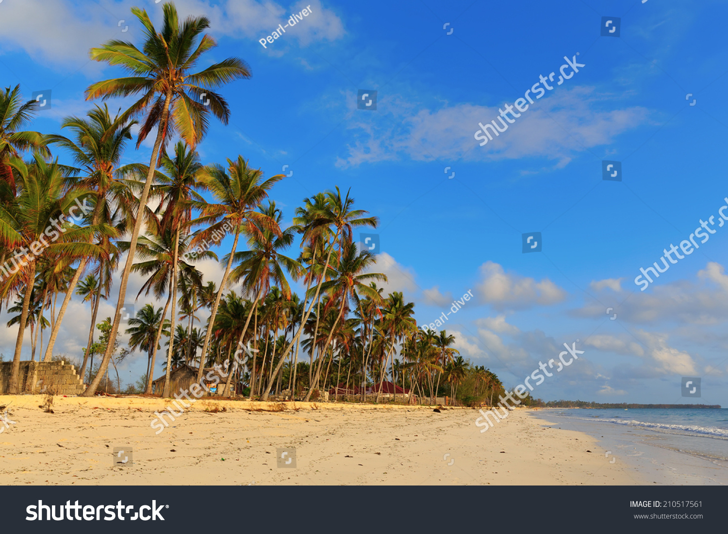 Palms over blue sky during sunny day, Zanzibar, Tanzania #210517561