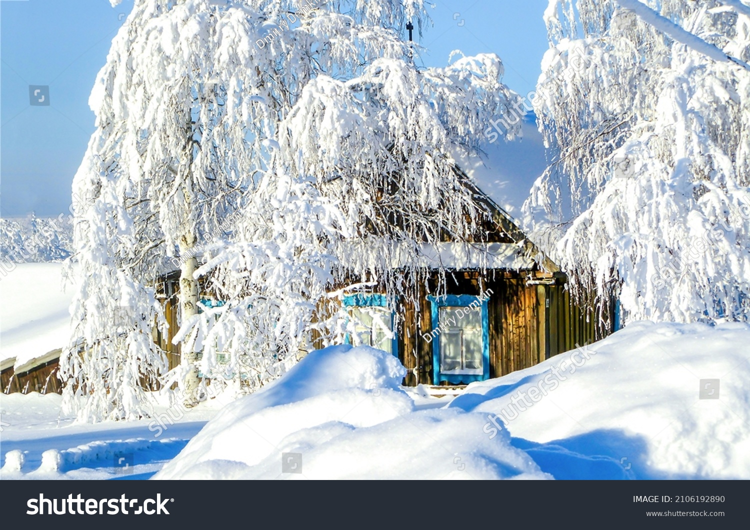 Winter snow village house. Snow tree in winter village #2106192890