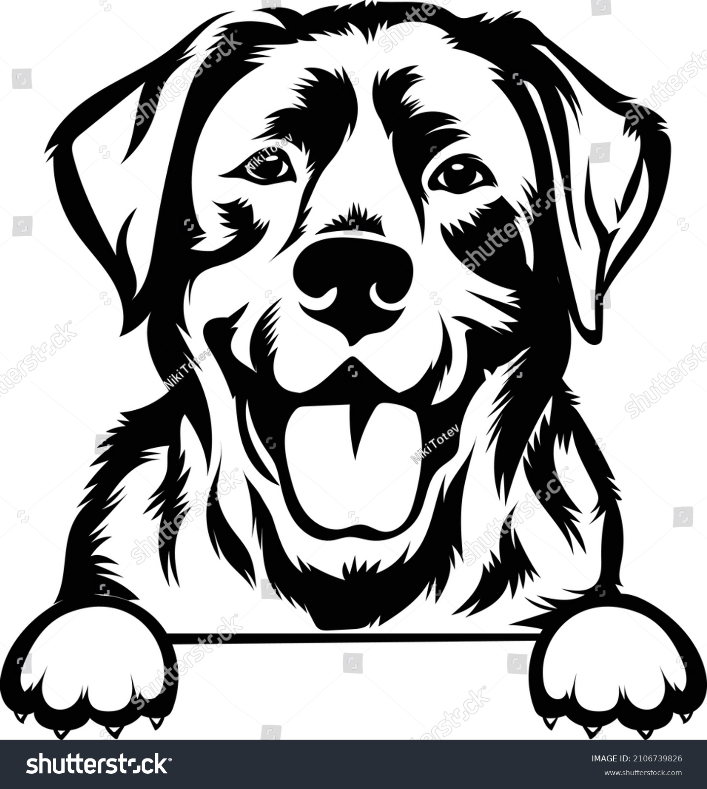 Labrador dog vector image peeking labrador - Royalty Free Stock Vector ...