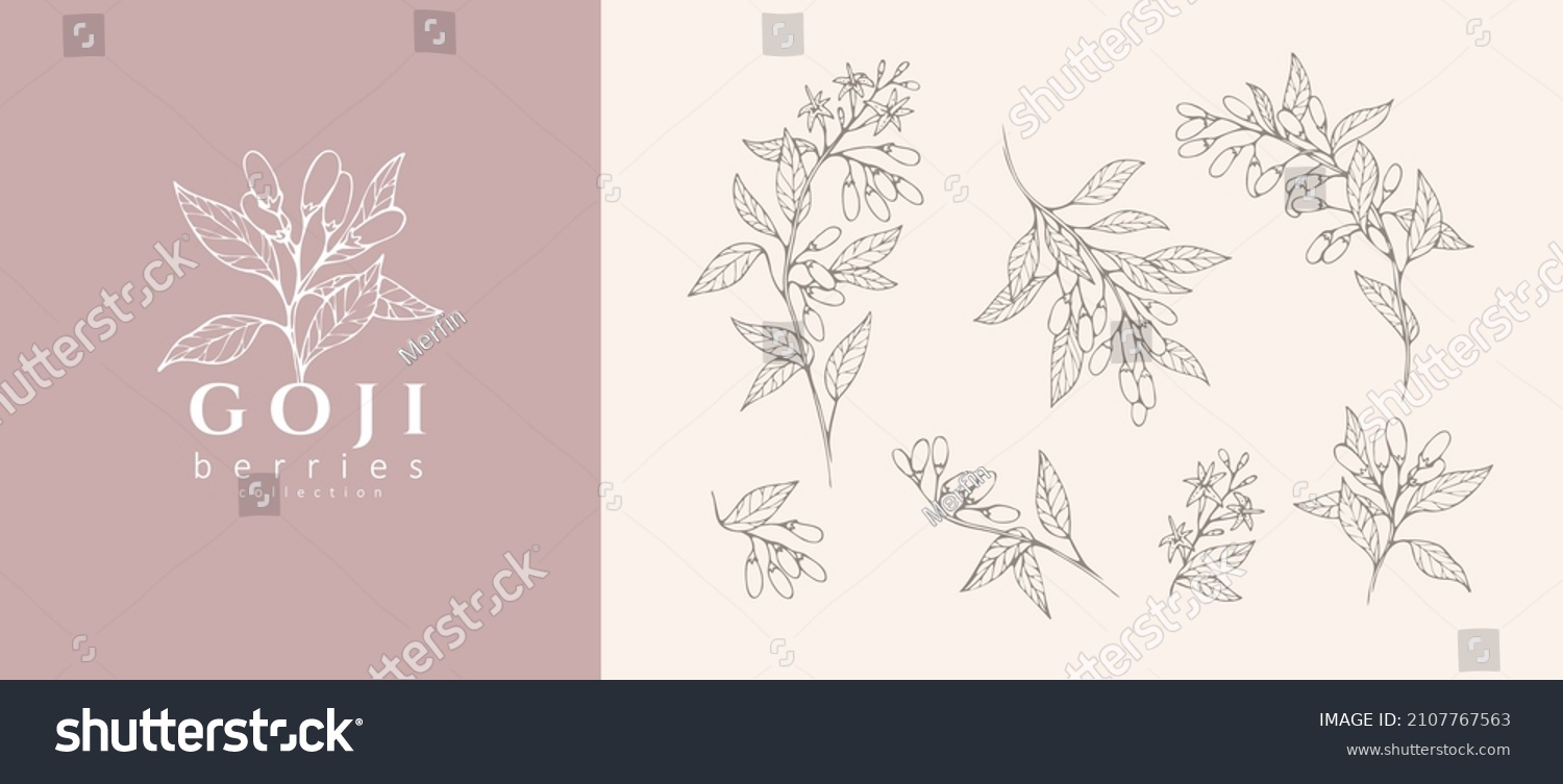 Goji berries flowers floral branch and logo set. Hand drawn line herb, elegant leaves for invitation save the date card. Botanical rustic trendy greenery #2107767563