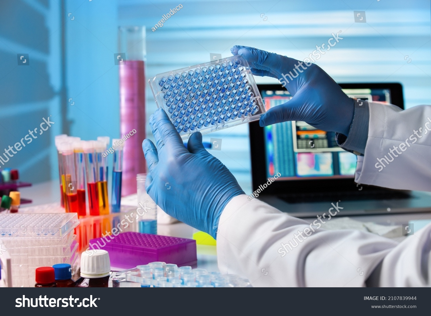 Scientist working in laboratory with samples in micro plate. Researcher in lab holding a 96 well plate with biological samples for analysis #2107839944