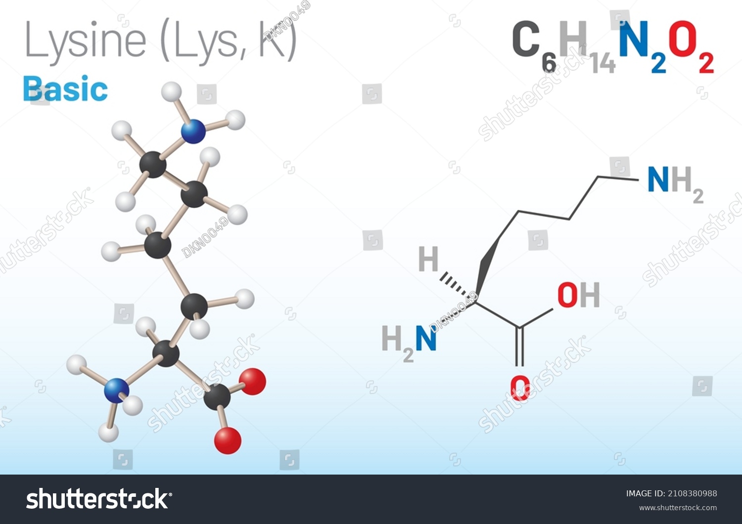 Lysine Lys K Amino Acid Molecule Chemical Royalty Free Stock