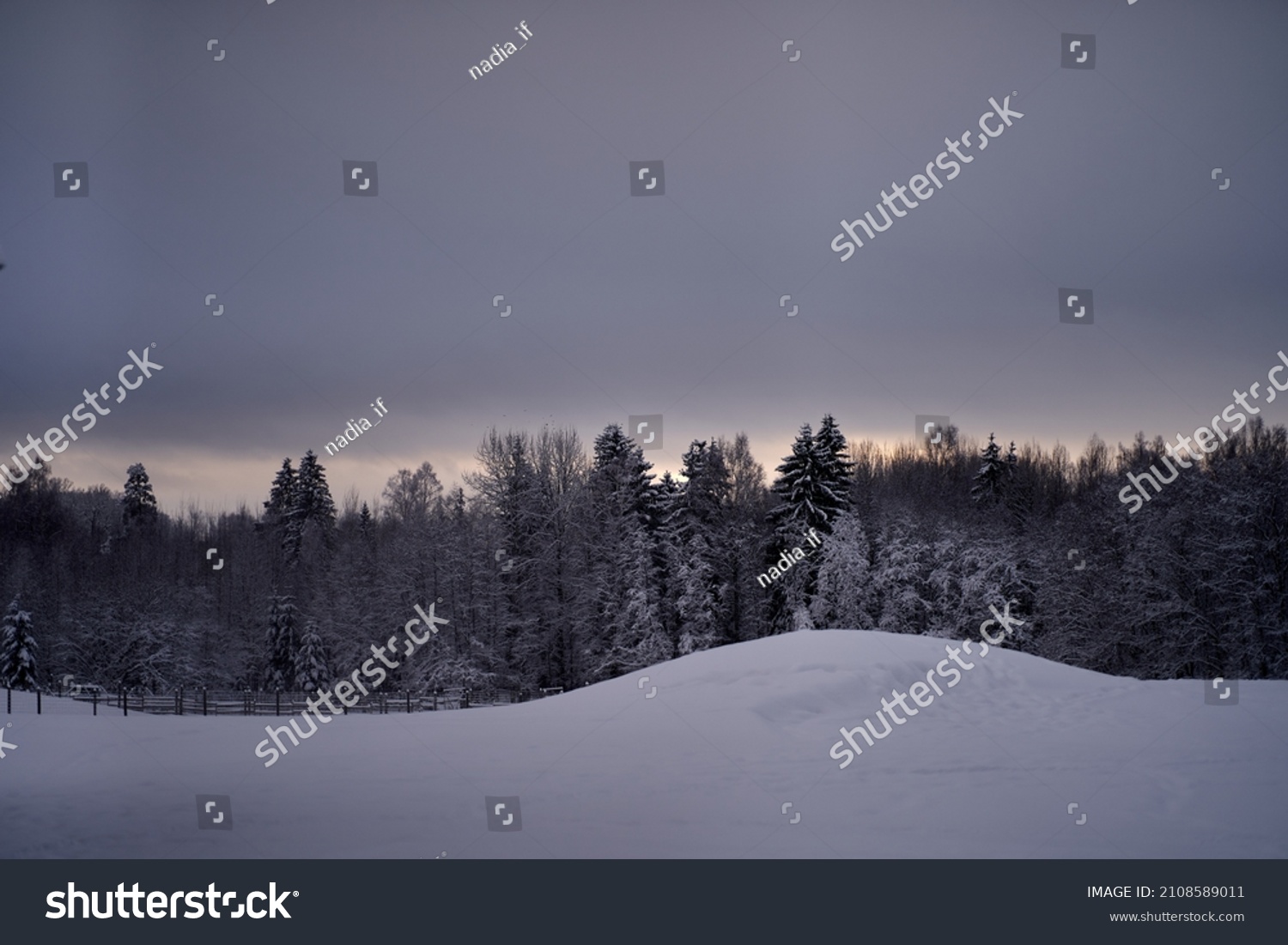 Dramatic winter landscape under fresh fallen snow on a cloudy morning day. High quality photo #2108589011