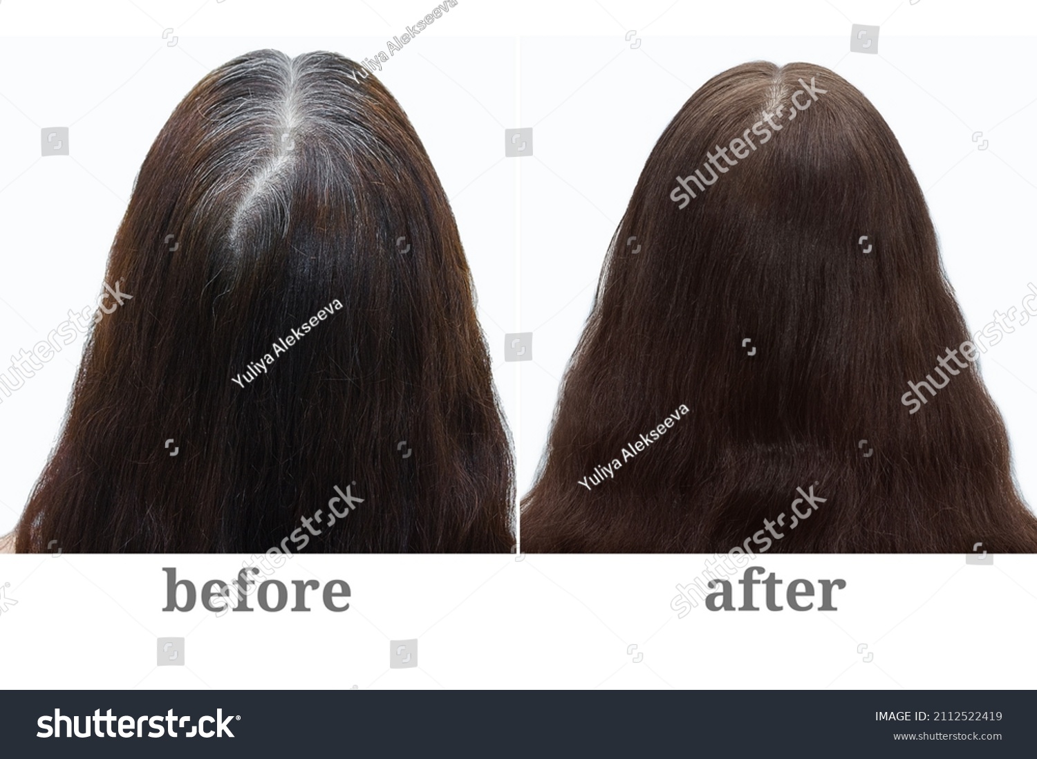 Gray hair on the crown of a woman's head. Hair coloring. Before and after. #2112522419