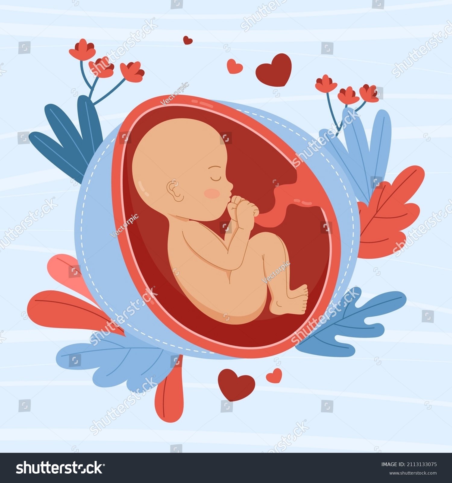 Hand drawn fetus illustration Vector - Royalty Free Stock Vector ...