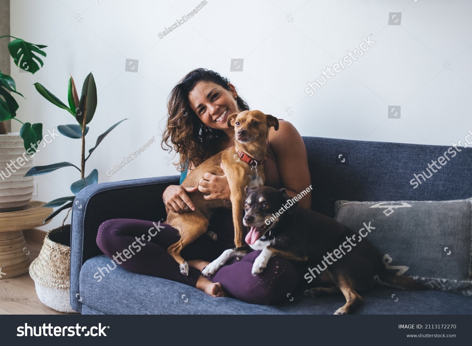 Portrait of happy woman having fun with adorable mongrel dogs spending leisure time in home living room, cheerful female resting at couch with cute doggie pets smiling at camera in apartment #2113172270
