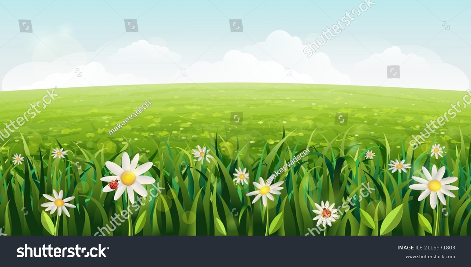 horizontal daisies field landscape. green Summer scene with white flowers, grass. sunny idyllic realistic spring background with daisies, green meadows, rural fields, valleys. blue sky, fluffy clouds #2116971803