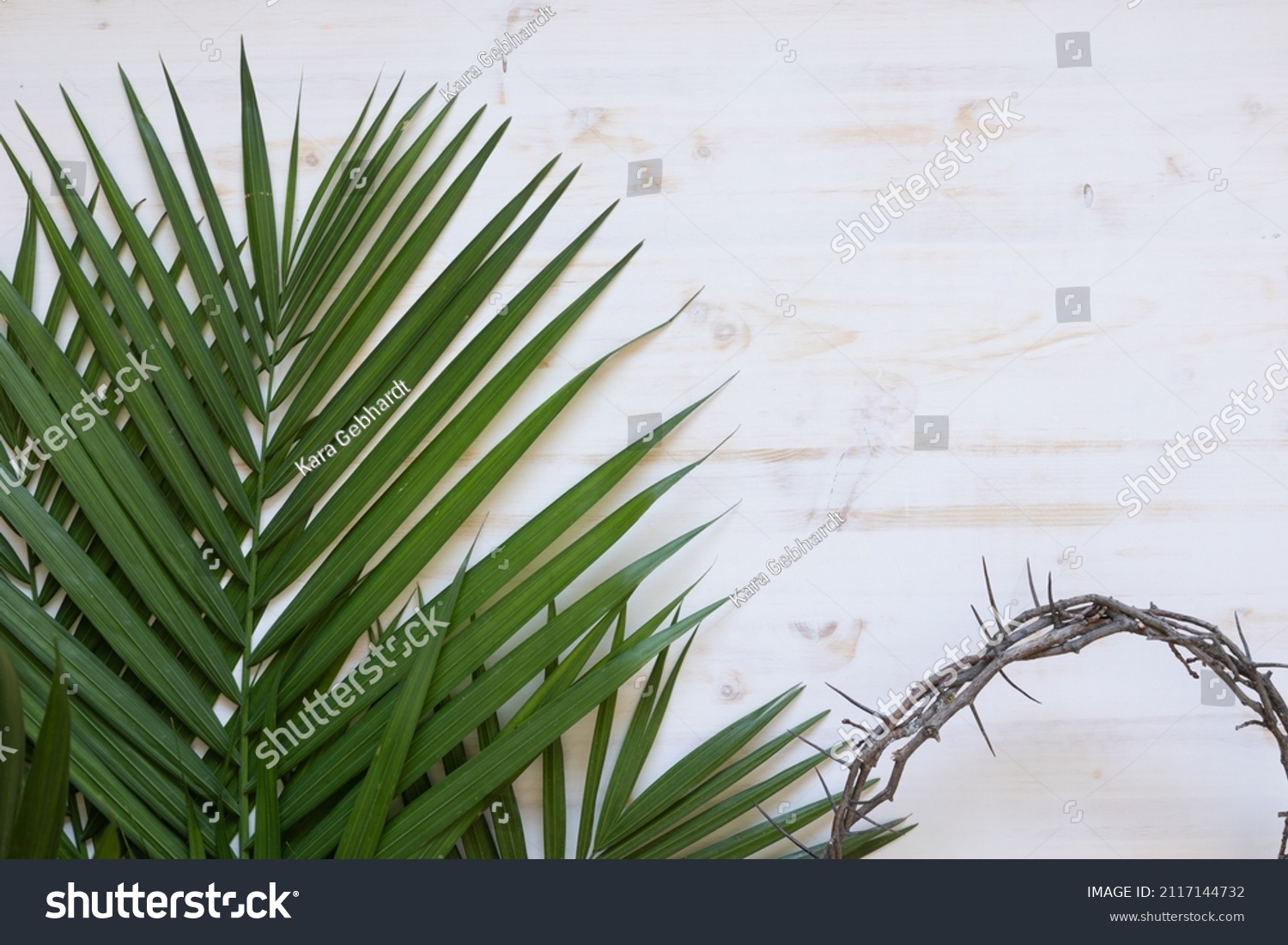 Palm fronds and partial crown of thorns on a white wood background with copy space #2117144732