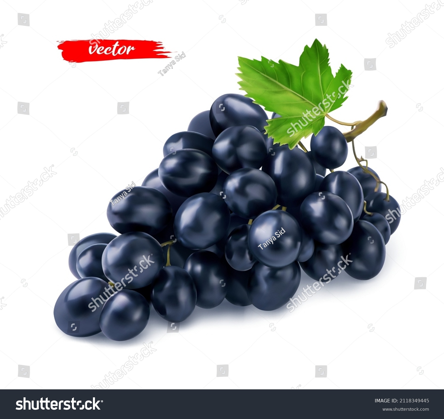 Black grape with grape leaf isolated on white. Realistic vector illustration of black grape. #2118349445