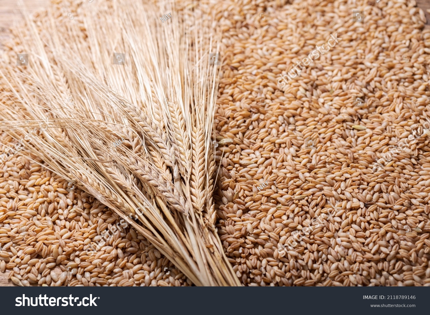 barley grains as background, top view #2118789146