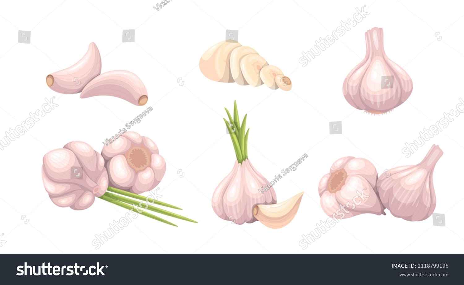 Garlic set, vegetable vector illustration. Whole heads, heaps whole and sliced garlic cloves. Common seasoning worldwide, spice and food flavoring. #2118799196