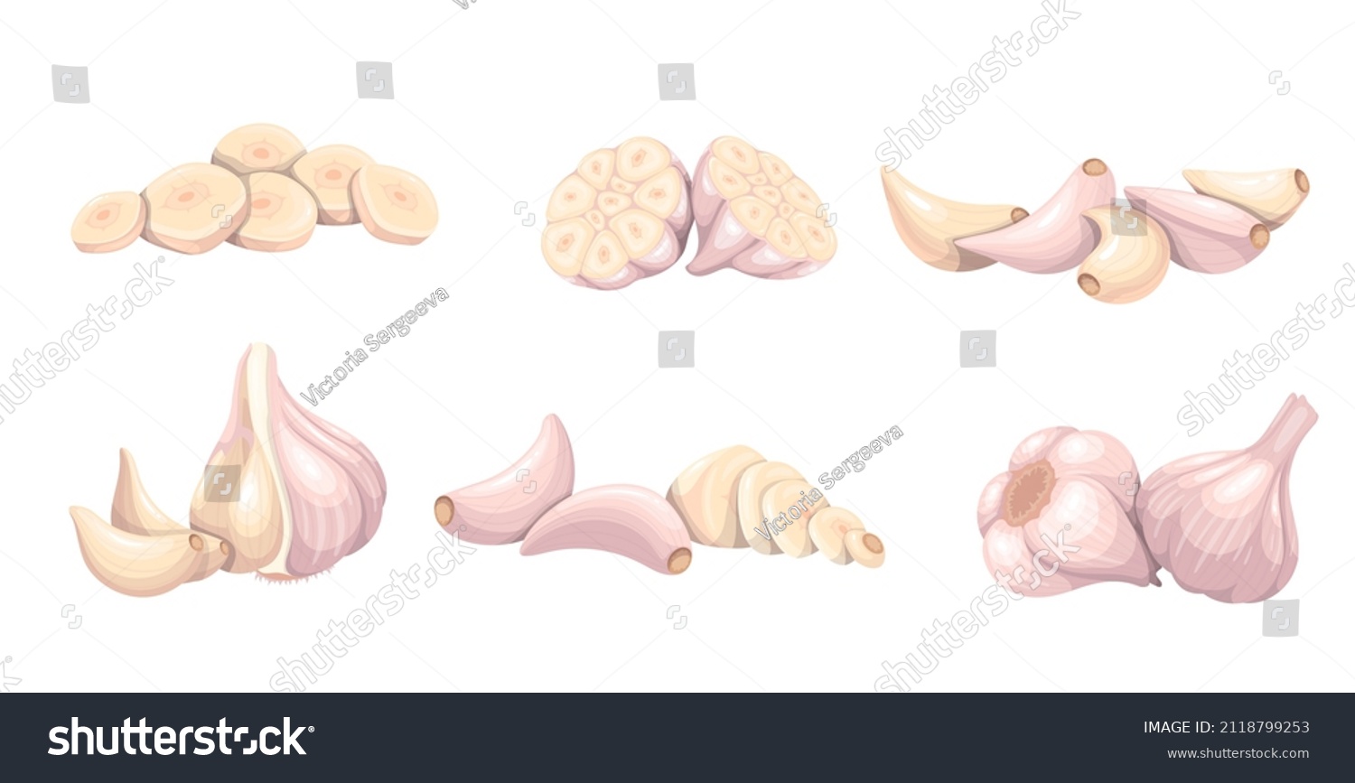 Garlic set, vegetable vector illustration. Whole heads, heaps whole and sliced garlic cloves. Common seasoning worldwide, spice and food flavoring. #2118799253