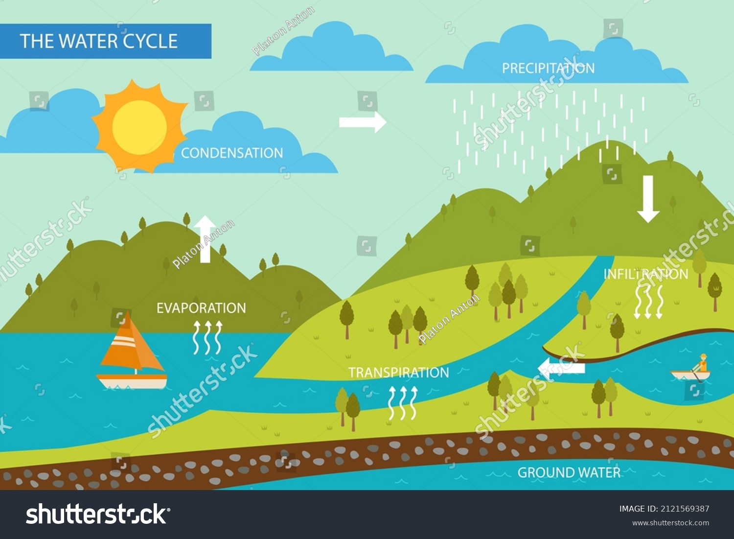 Water Cycle Infographic. Ecosystem Concept. - Royalty Free Stock Vector ...