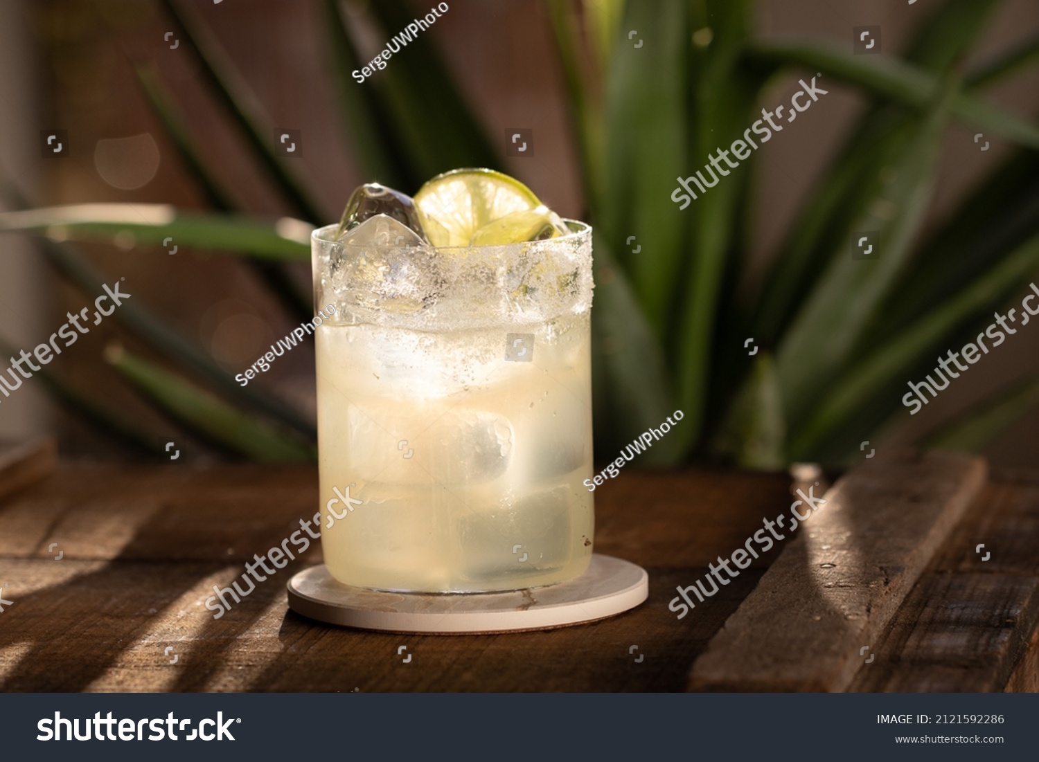 Margarita Cocktail on the rocks in modern tumbler glass with agave plant in the background #2121592286